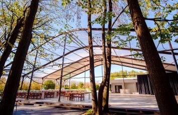 Nunta la padure piscina TreeHouse Lagoon