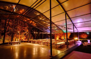 Nunta la padure piscina TreeHouse Lagoon