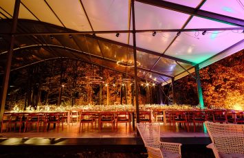 Nunta la padure piscina TreeHouse Lagoon