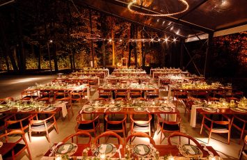 Nunta la padure piscina TreeHouse Lagoon