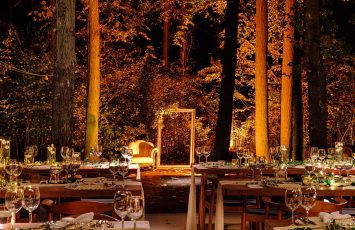 Nunta la padure piscina TreeHouse Lagoon