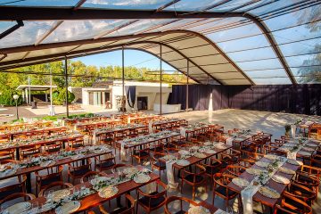 Nunta la padure, piscina TreeHouse LAgoon